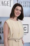 th_56193_Celebutopia-Anne_Hathaway_arrives_at_the_24th_Annual_Film_Independent15s_Spirit_Awards-01_122_25lo.jpg