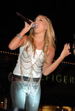 th_93128_AshleyTisdale_8th_annual_christmas_tree_lighting_ceremony_171_122_535lo.jpg