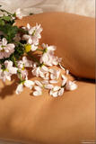 Mikhaila - Bodyscape: Summer Bouquet-00q1fl125m.jpg
